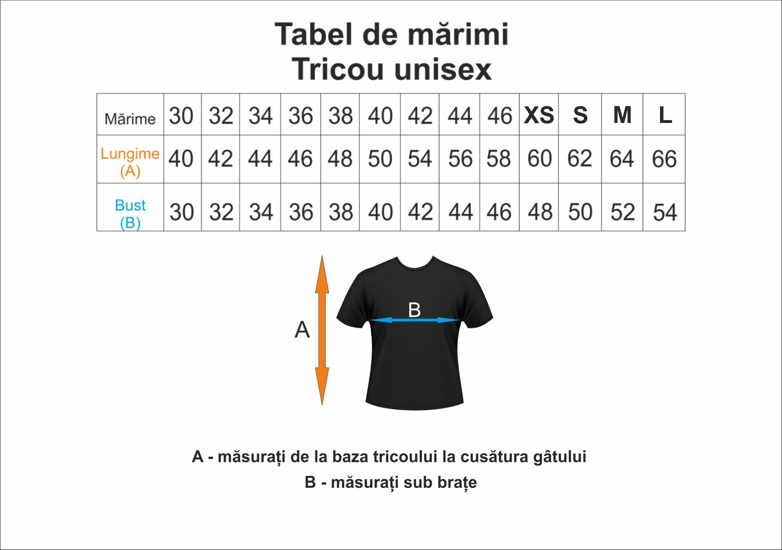 Tricou Polo Bleumarin - Avram Iancu